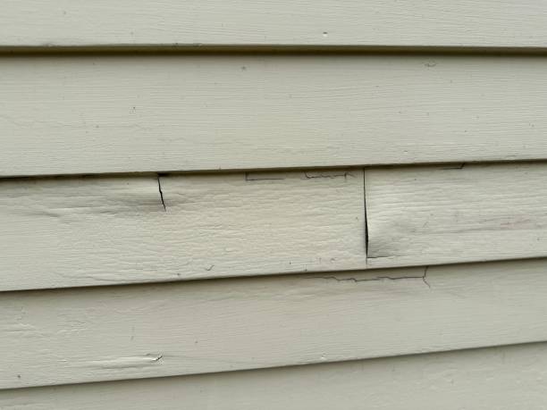 Best Shed Removal  in Wyong, MI